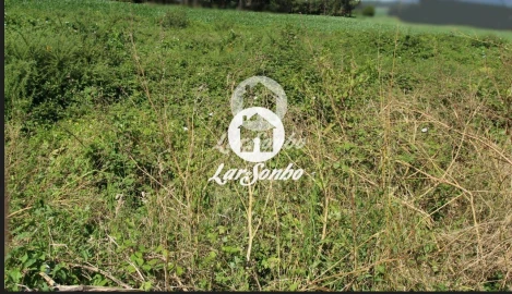 Terreno para Venda em Escariz (São Mamede) e Escariz (São Martinho)