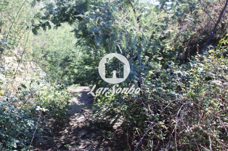 Terreno para Venda em Escariz (São Mamede) e Escariz (São Martinho) Foto 8