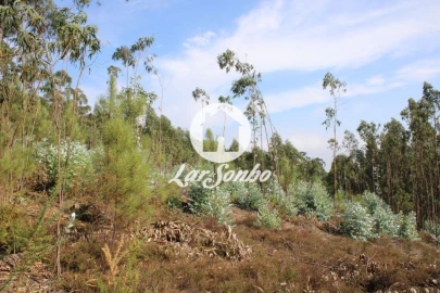 Terreno Agricola ou Rústico para Venda em Galegos (Santa Maria)