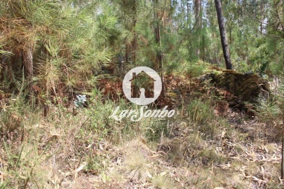 Terreno Agricola ou Rústico para Venda em Galegos (Santa Maria)