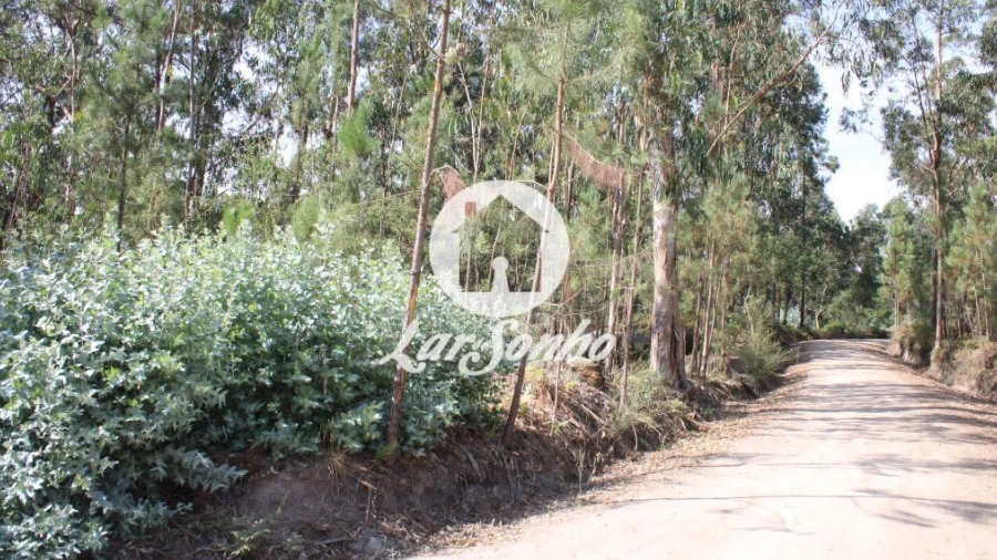 Terreno Agricola ou Rústico para Venda em Galegos (Santa Maria)
