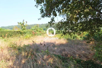 Terreno para Venda em Galegos (São Martinho)