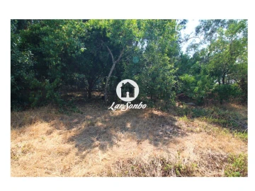 Terreno para Venda em Galegos (São Martinho)