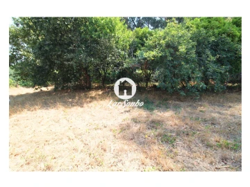 Terreno para Venda em Galegos (São Martinho)