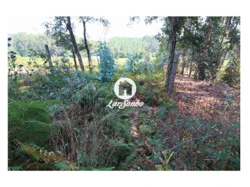 Terreno para Venda em Galegos (São Martinho)