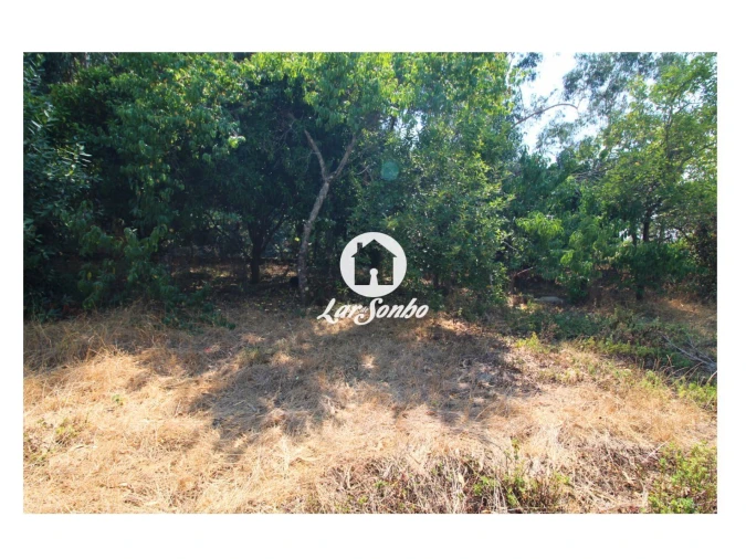 Terreno para Venda em Galegos (São Martinho) Foto 9