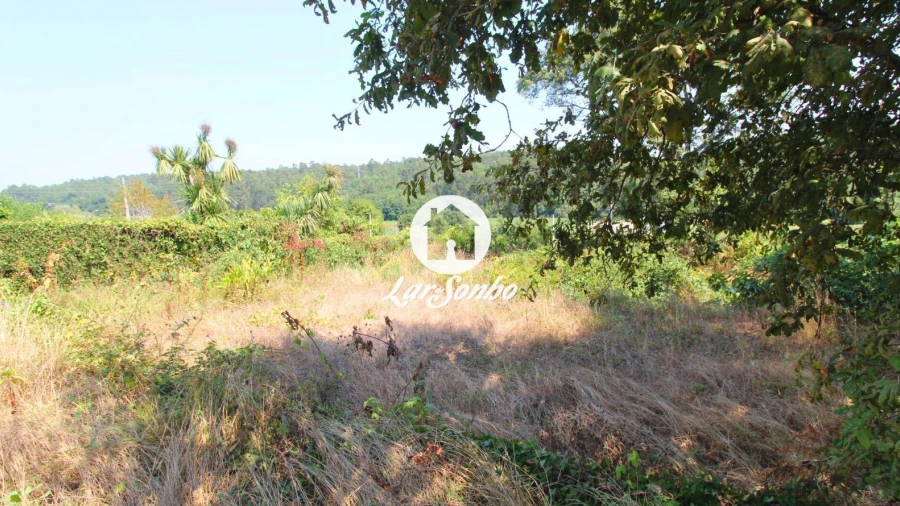 Terreno para Venda em Galegos (São Martinho)