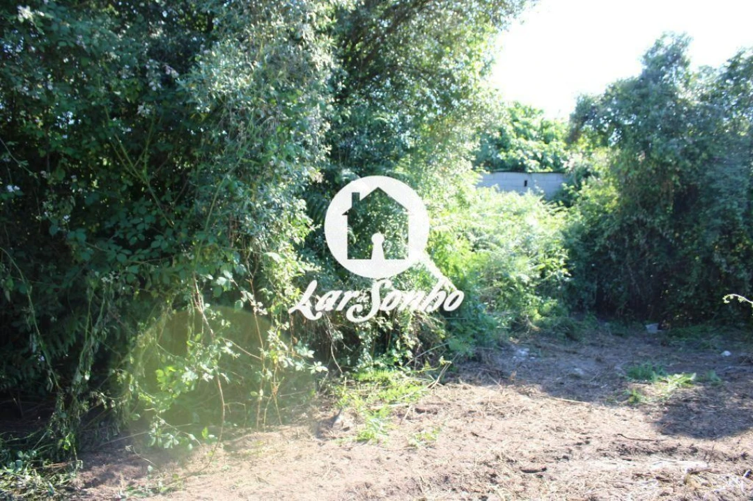Terreno Agricola ou Rústico para Venda em Ucha Foto 15