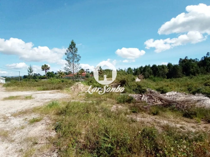 Terreno Agricola ou Rústico para Venda em Ucha Foto 3