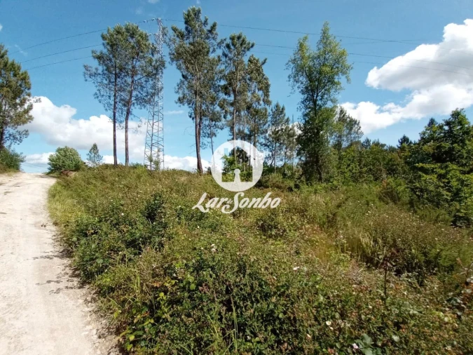 Terreno Agricola ou Rústico para Venda em Ucha Foto 2