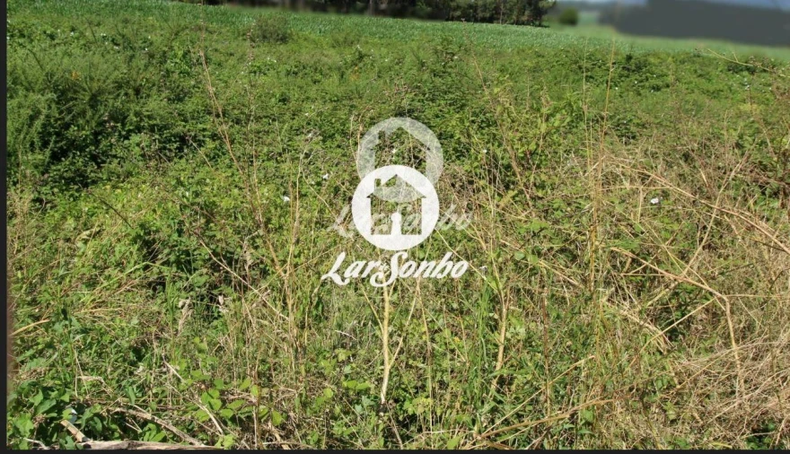 Terreno Agricola ou Rústico para Venda em Ucha Foto 17