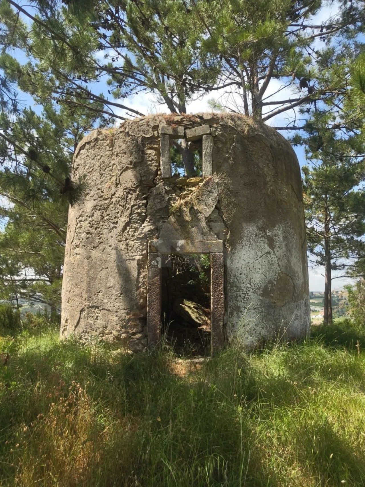 Terreno para Venda em Alvorninha Foto 2