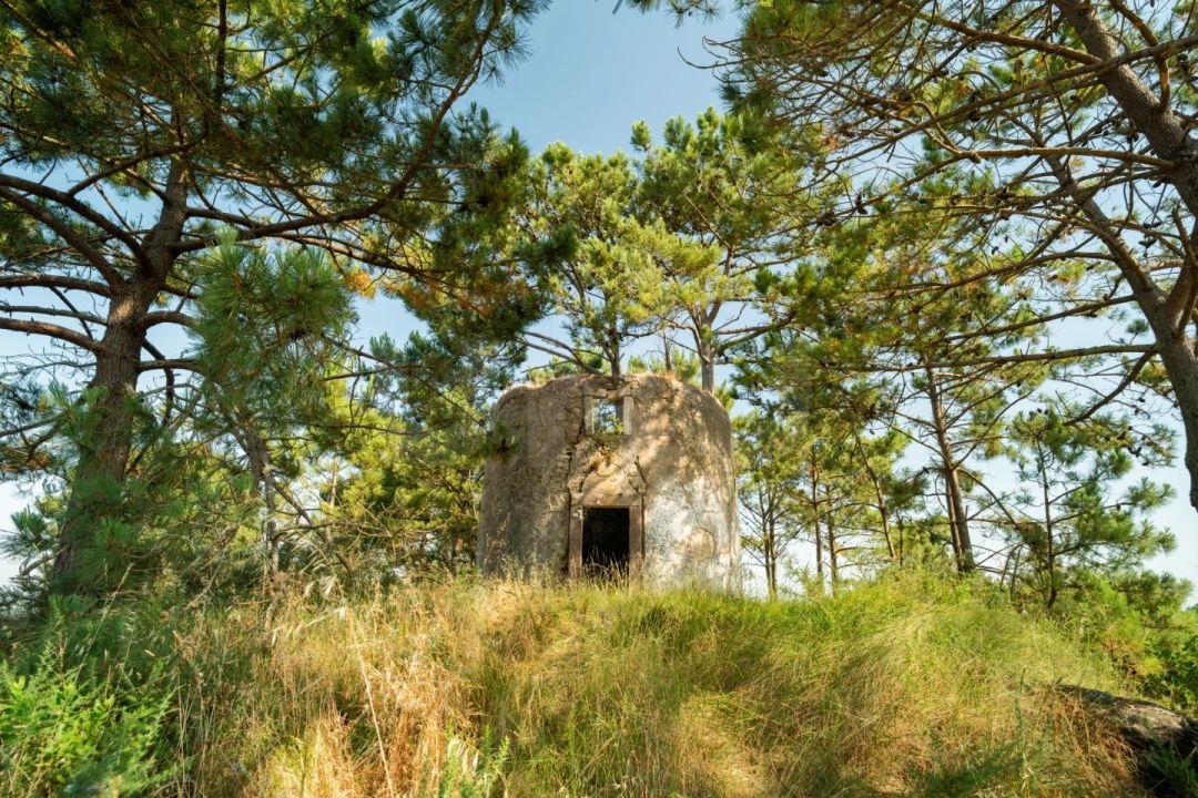 Terreno para Venda em Alvorninha Foto 1