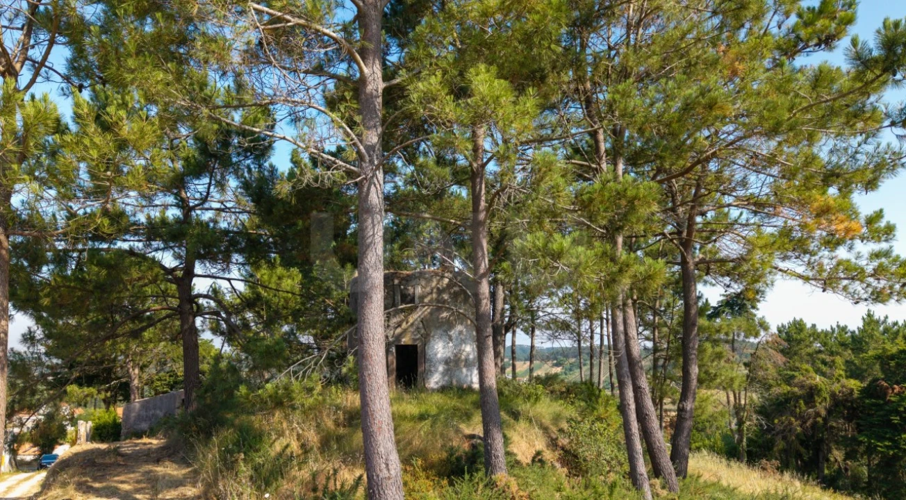 Terreno para Venda em Alvorninha Foto 3