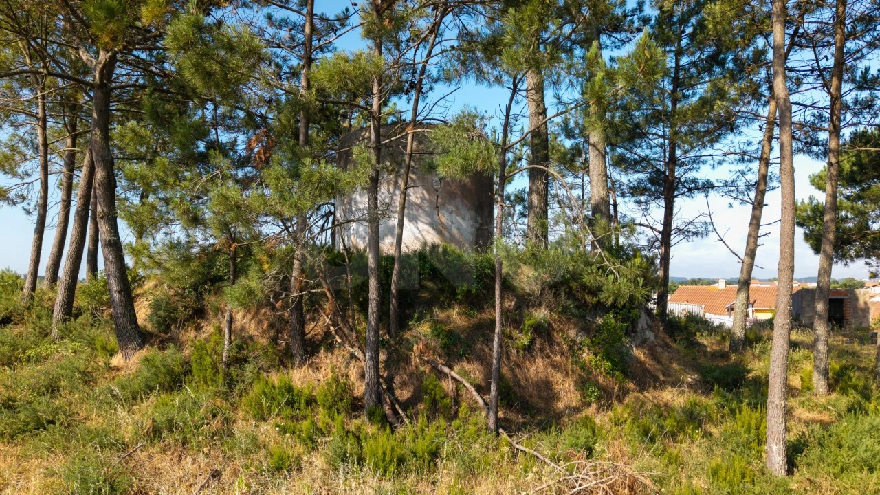 Terreno para Venda em Alvorninha Foto 4