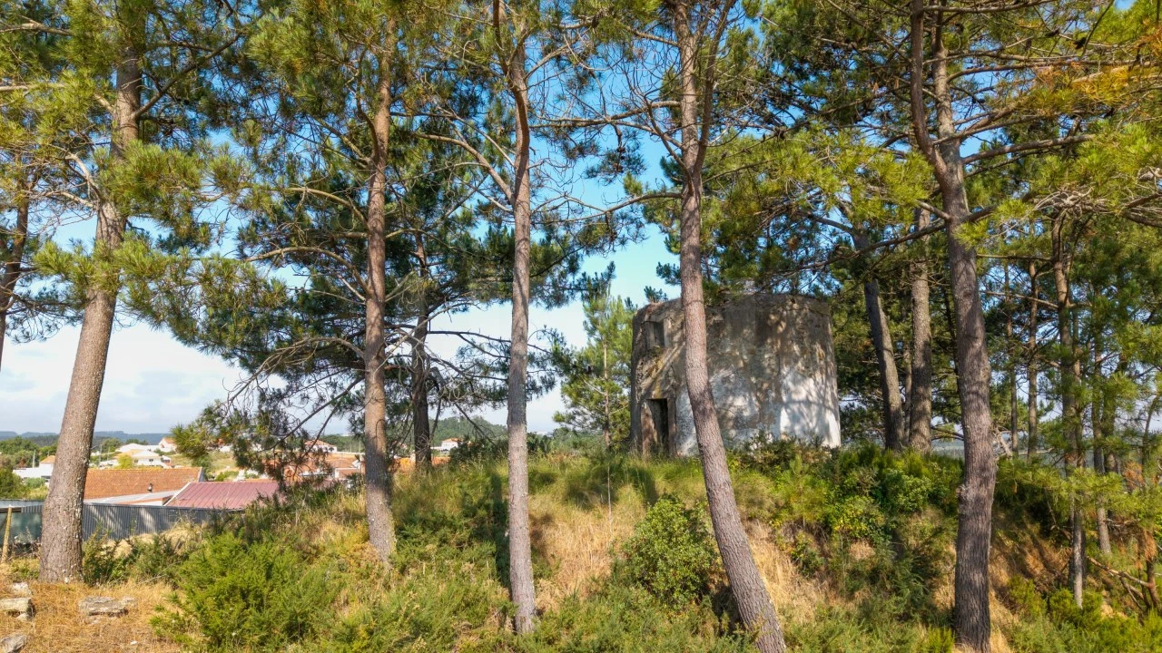 Terreno para Venda em Alvorninha Foto 5