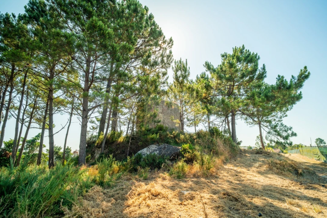 Terreno para Venda em Alvorninha Foto 6
