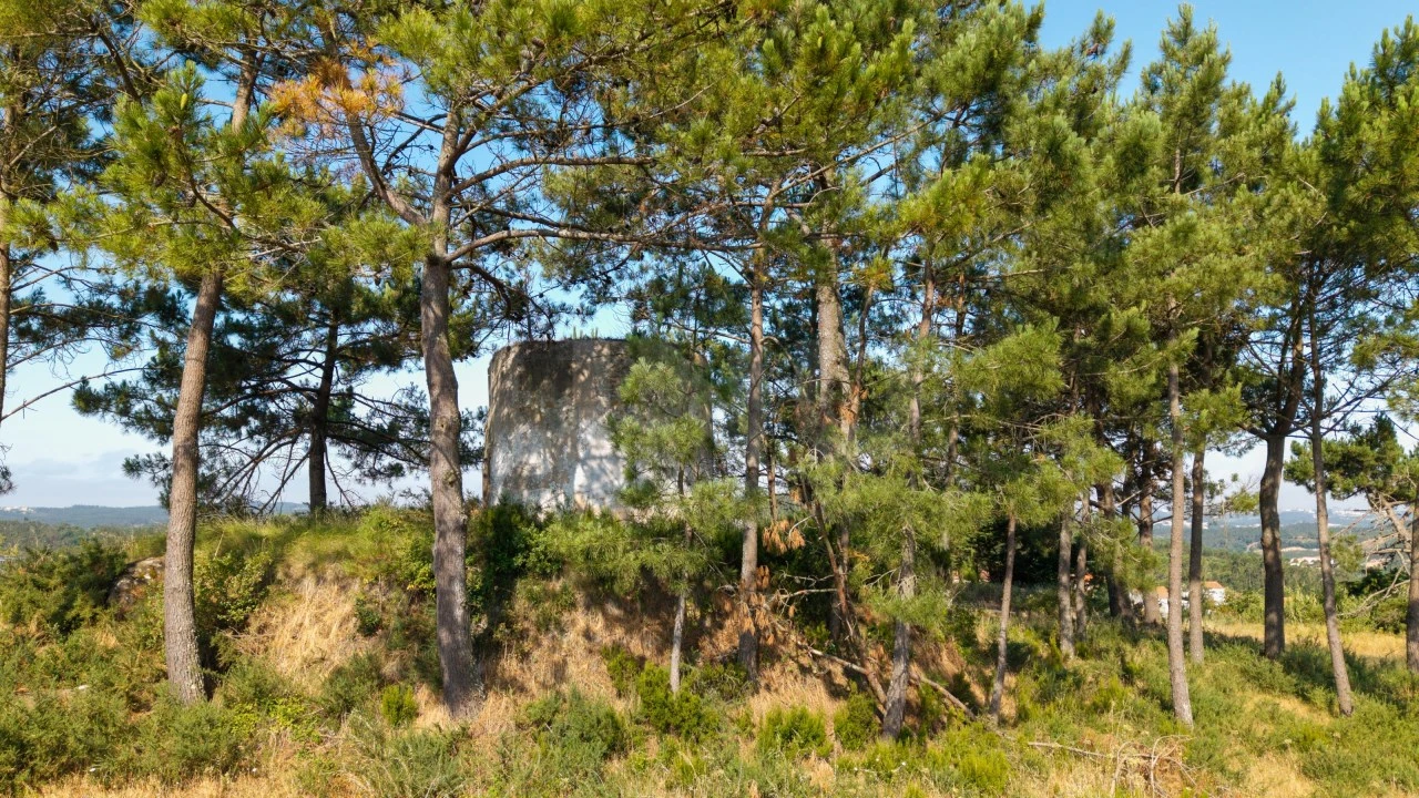 Terreno para Venda em Alvorninha Foto 7