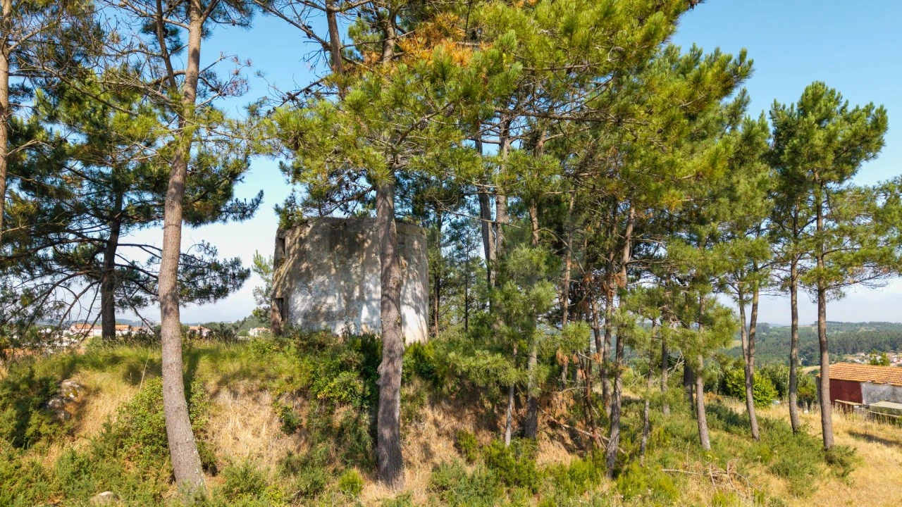 Terreno para Venda em Alvorninha Foto 8