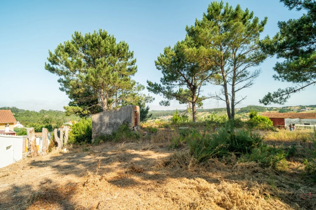 Terreno para Venda em Alvorninha Foto 9