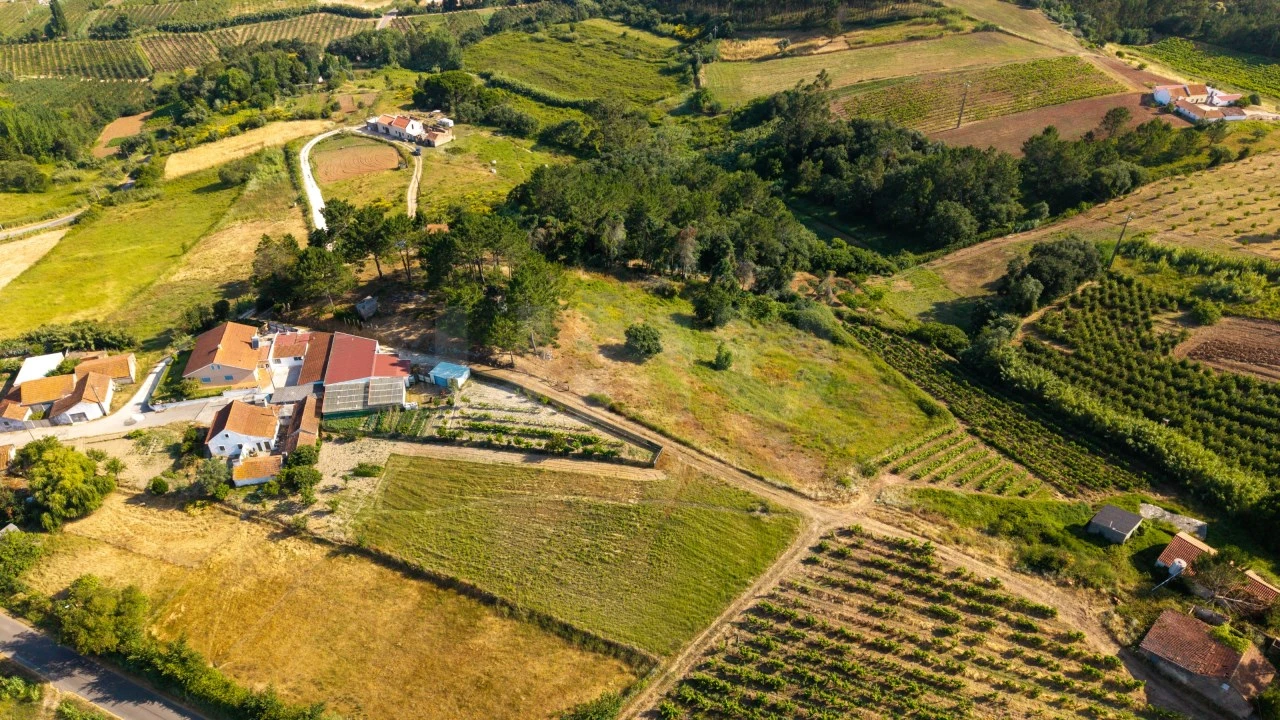 Terreno para Venda em Alvorninha Foto 14