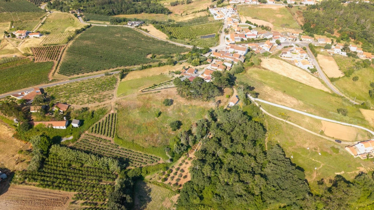 Terreno para Venda em Alvorninha Foto 15