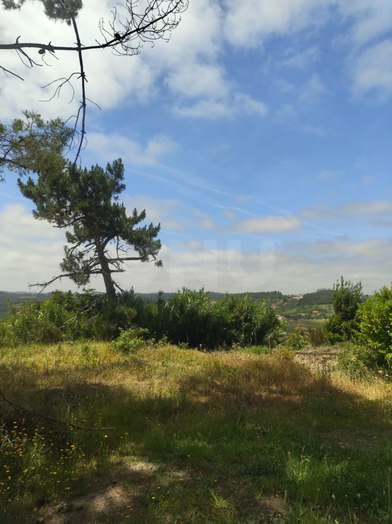 Terreno para Venda em Alvorninha Foto 21