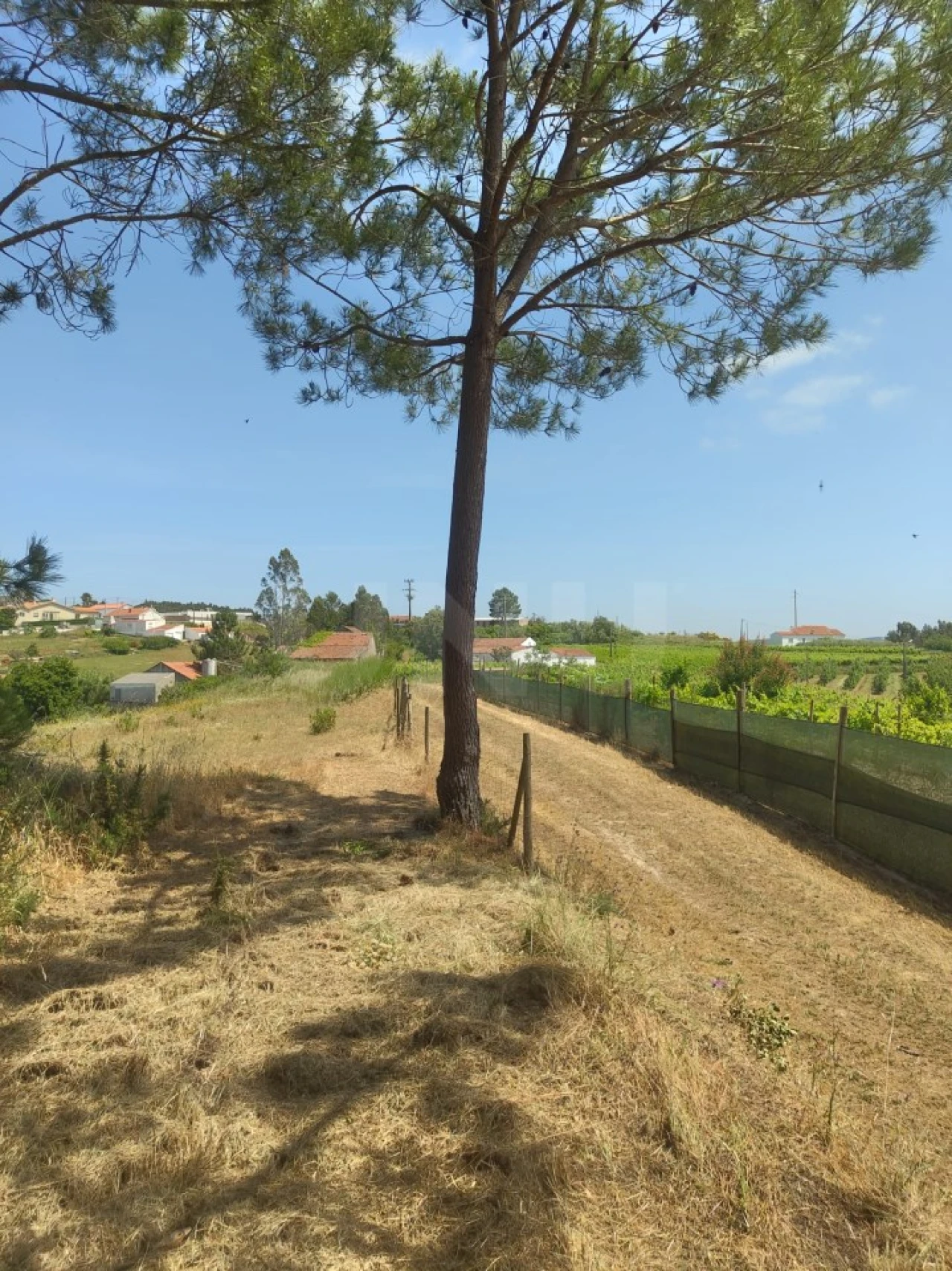 Terreno para Venda em Alvorninha Foto 23