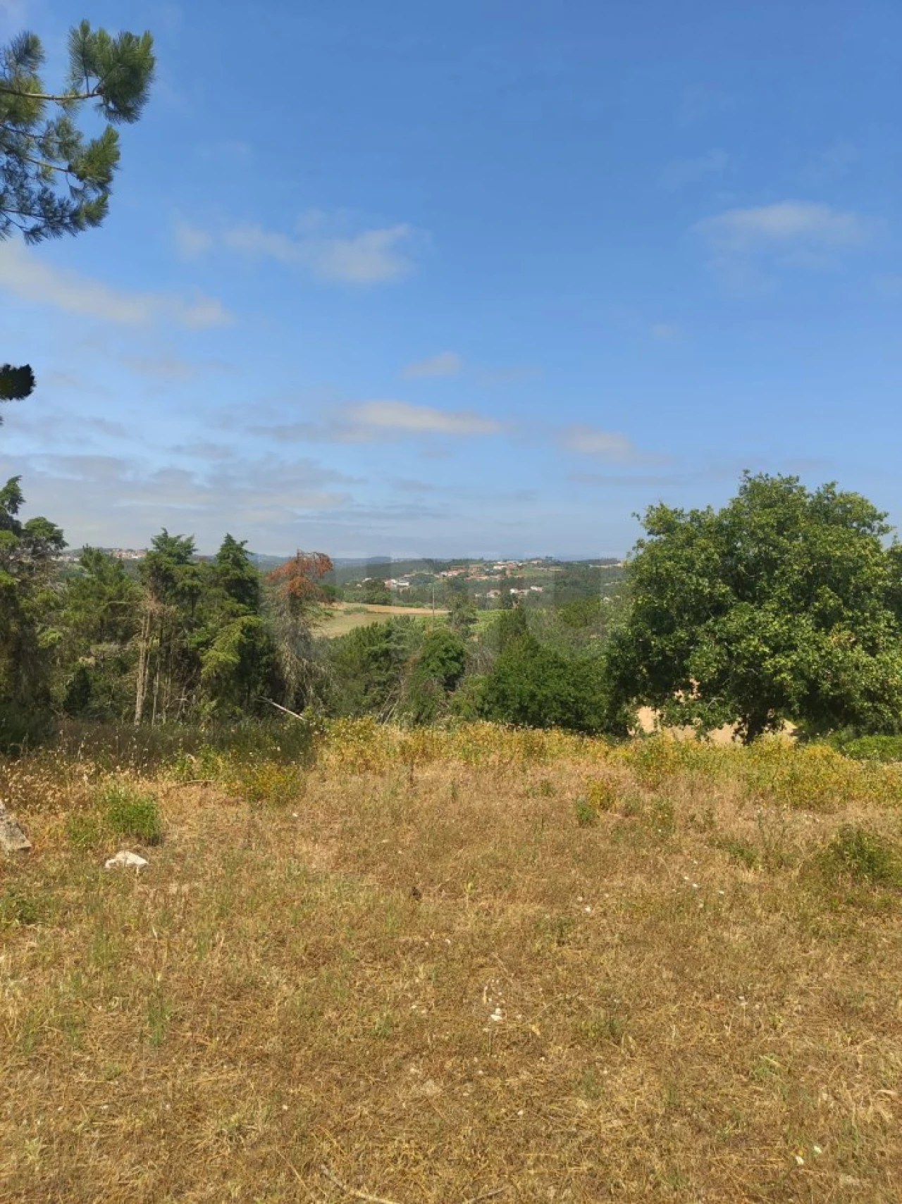 Terreno para Venda em Alvorninha Foto 24