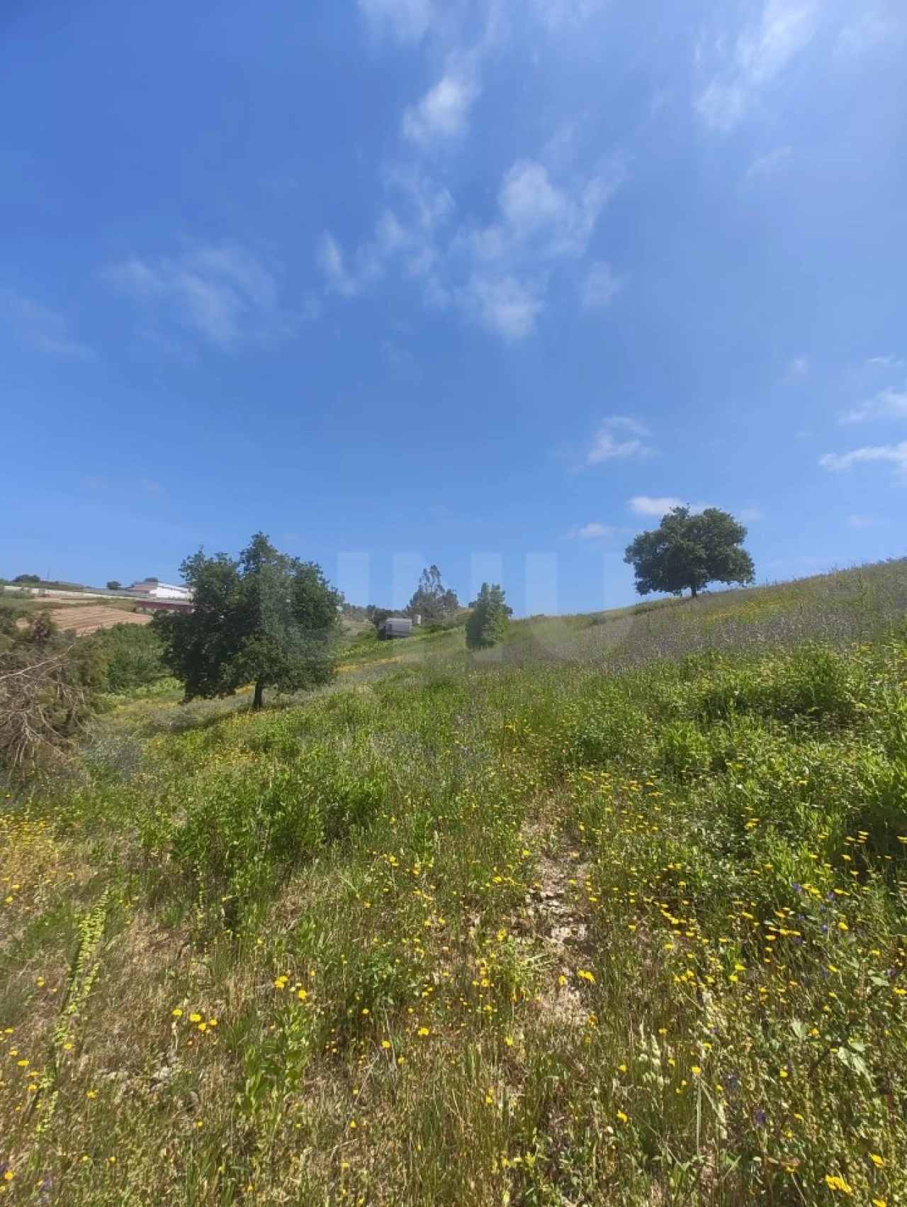 Terreno para Venda em Alvorninha Foto 28