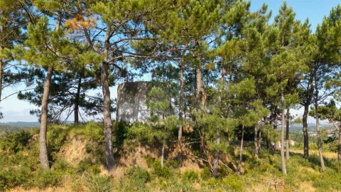 Terreno para Venda em Alvorninha