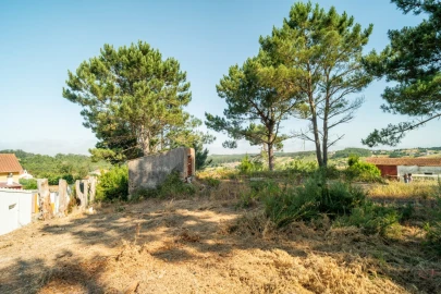 Terreno para Venda em Alvorninha