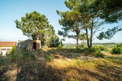 Terreno para Venda em Alvorninha