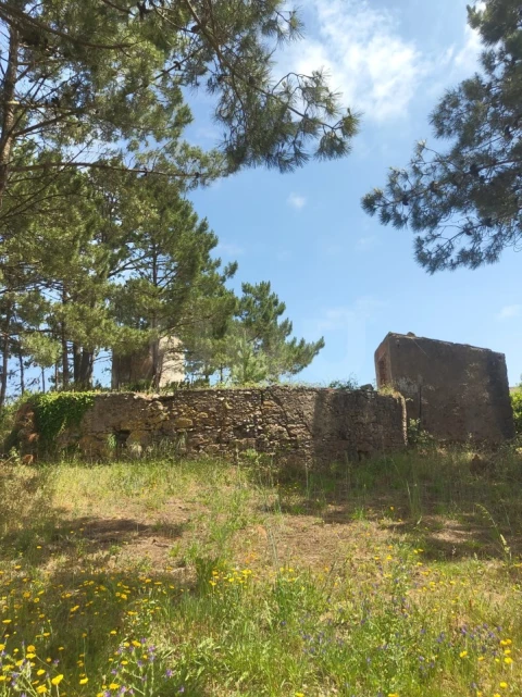 Terreno para Venda em Alvorninha