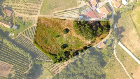 Terreno para Venda em Alvorninha