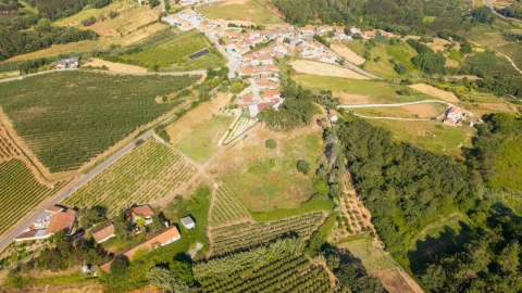 Terreno para Venda em Alvorninha