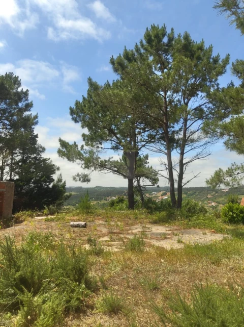 Terreno para Venda em Alvorninha