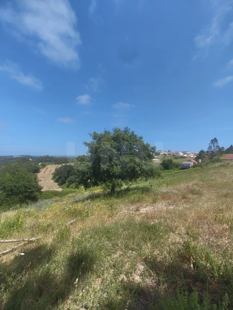 Terreno para Venda em Alvorninha