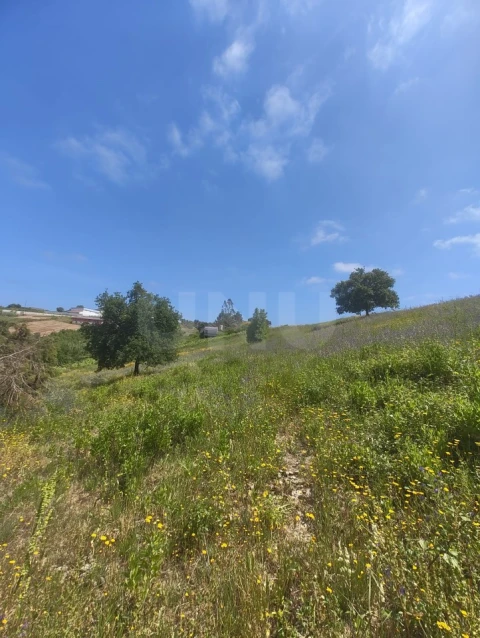 Terreno para Venda em Alvorninha