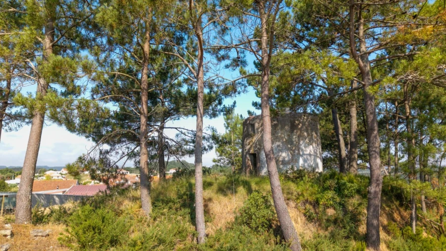 Terreno para Venda em Alvorninha Foto 5