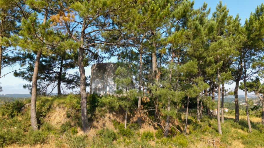 Terreno para Venda em Alvorninha Foto 7