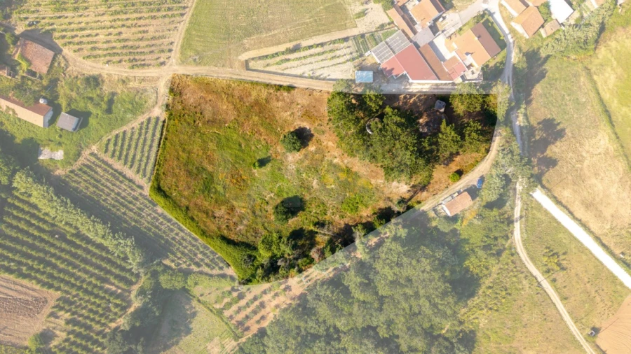 Terreno para Venda em Alvorninha Foto 13