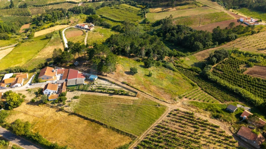 Terreno para Venda em Alvorninha Foto 14