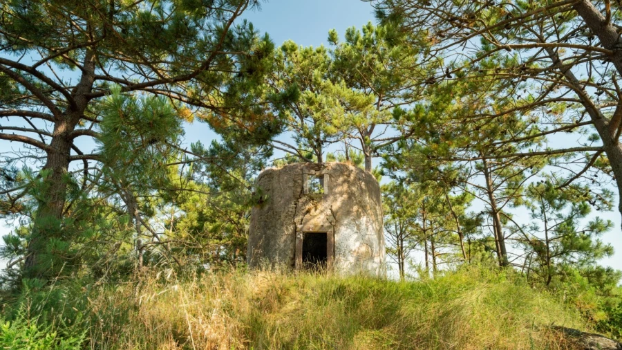 Terreno para Venda em Alvorninha