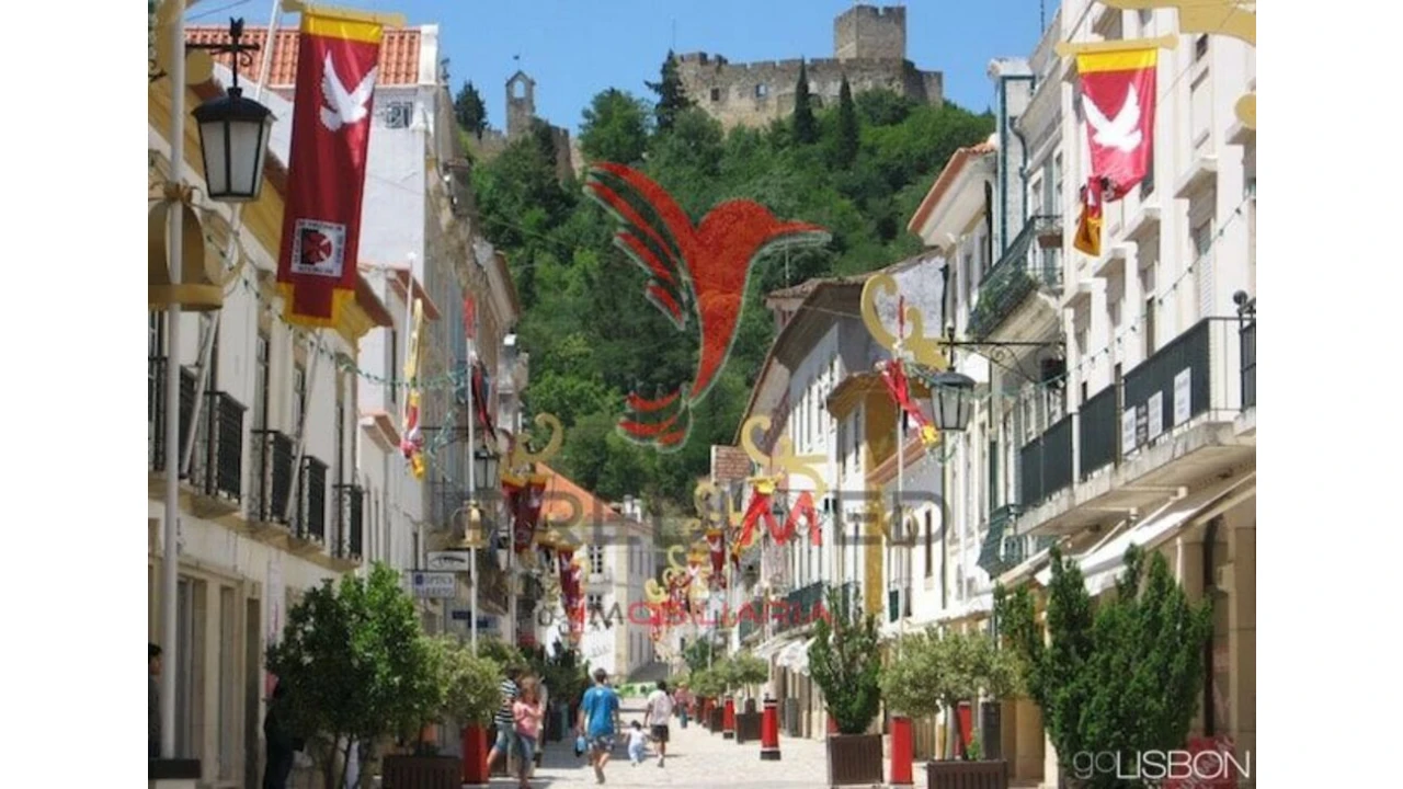 Terreno para Venda em Serra e Junceira Foto 6