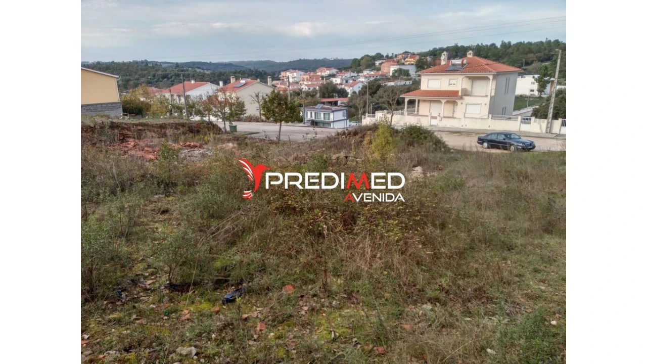 Terreno para Venda em Serra e Junceira Foto 2