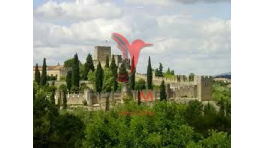 Terreno para Venda em Serra e Junceira Foto 4