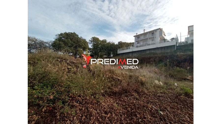 Terreno para Venda em Serra e Junceira Foto 3