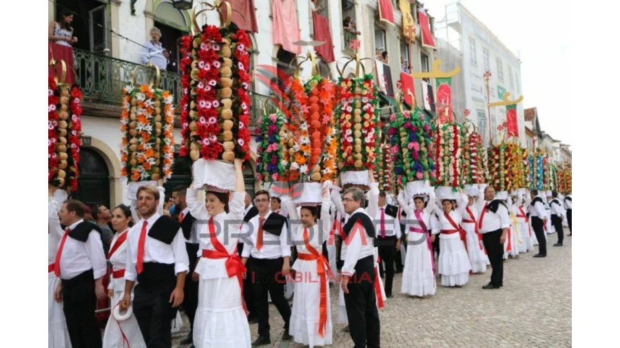 Terreno para Venda em Serra e Junceira Foto 5