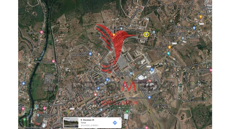 Terreno para Venda em Serra e Junceira Foto 10